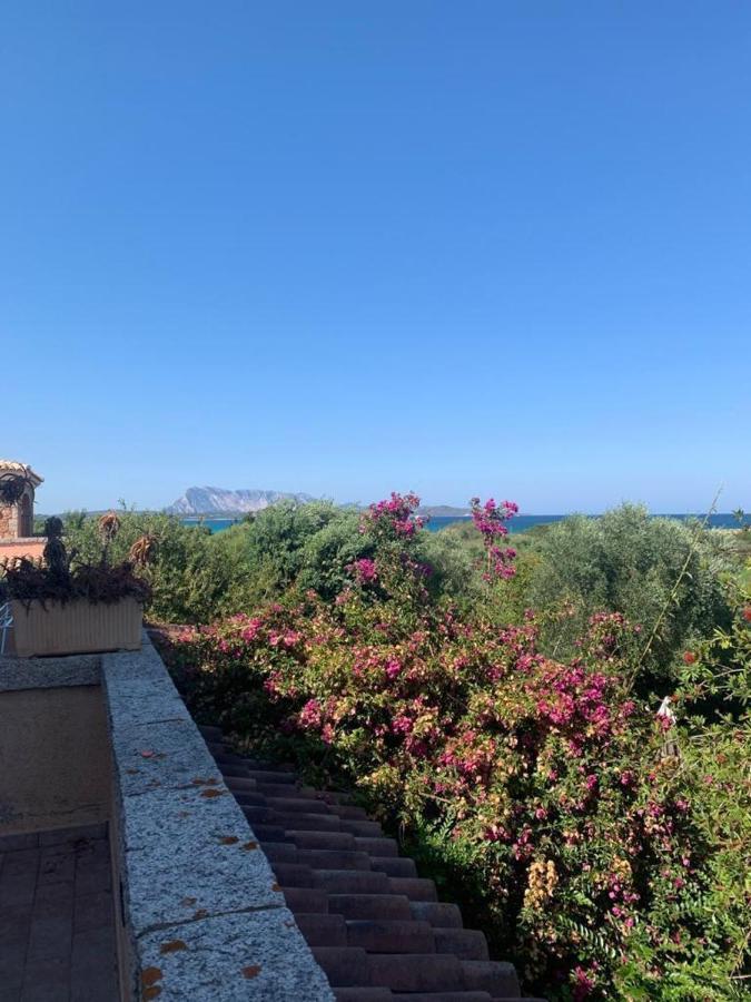 Villa La Cinta San Teodoro  Exterior foto